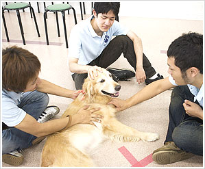 動物愛護に基づいた教育
