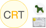 CRTイメージ